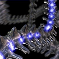 spine illustration 3D technical animation